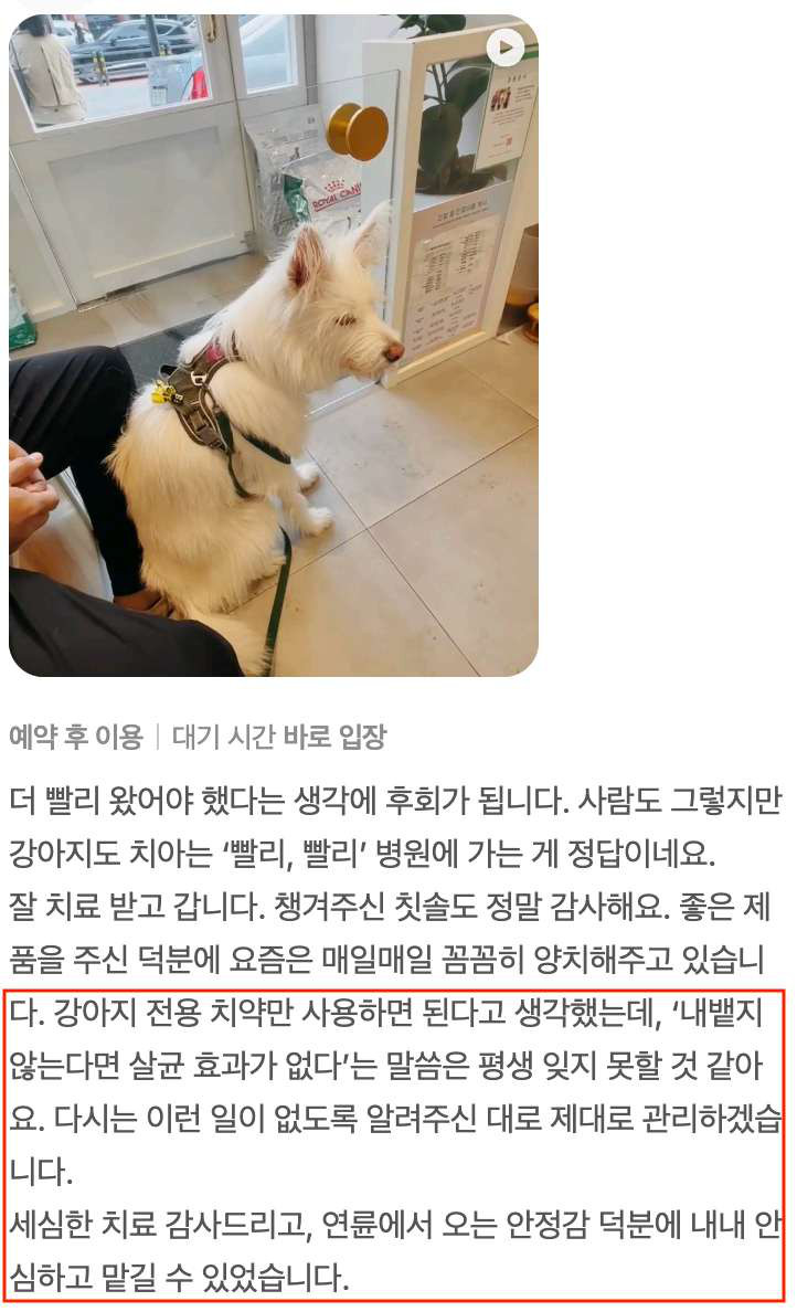 원문에 실린 보호자 후기