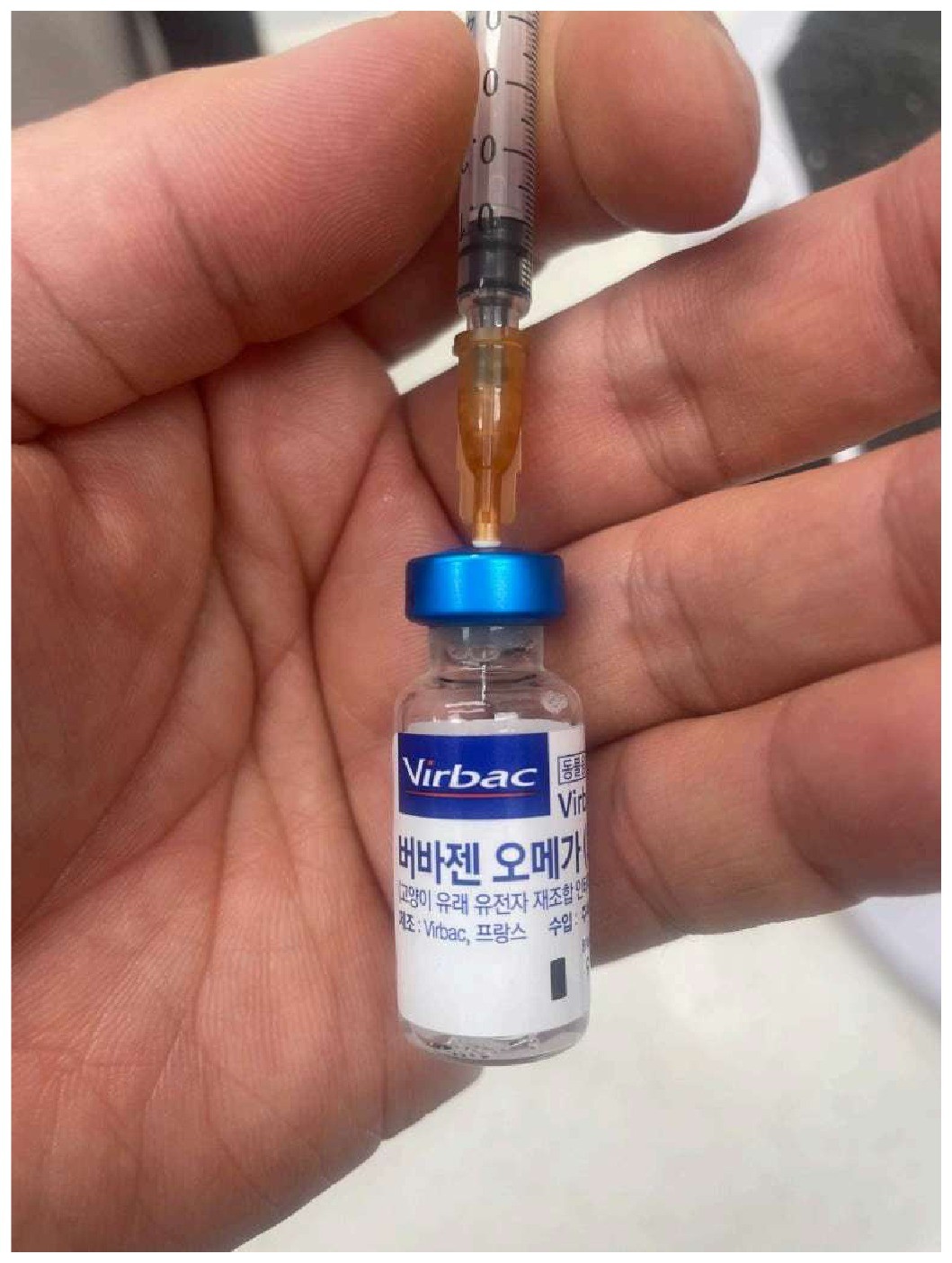 난치성 치은구내염에 사용하는 인터페론 제제