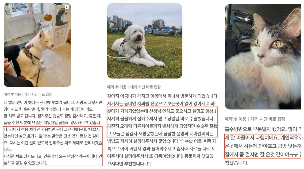 전문구강검진을 받은 아이들의 보호자 후기