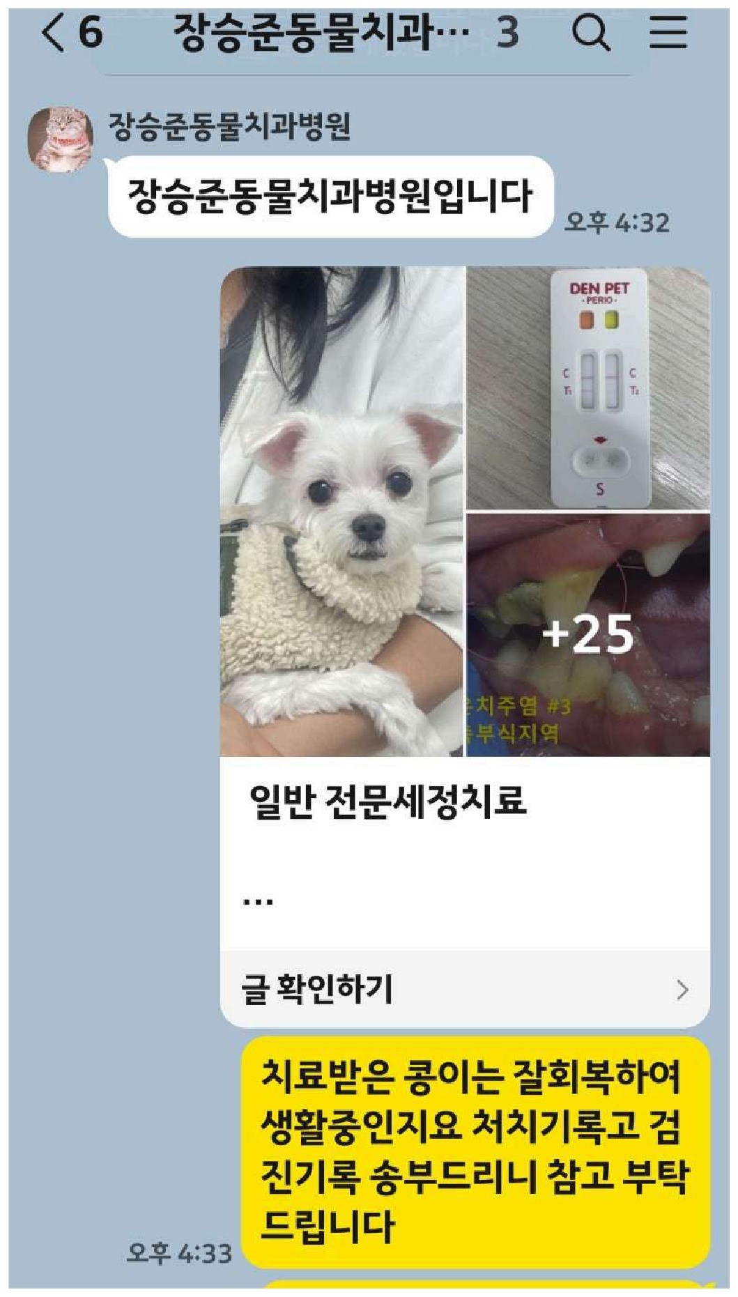 치료 결과와 홈케어 안내를 보호자에게 전달한 상담 메시지
