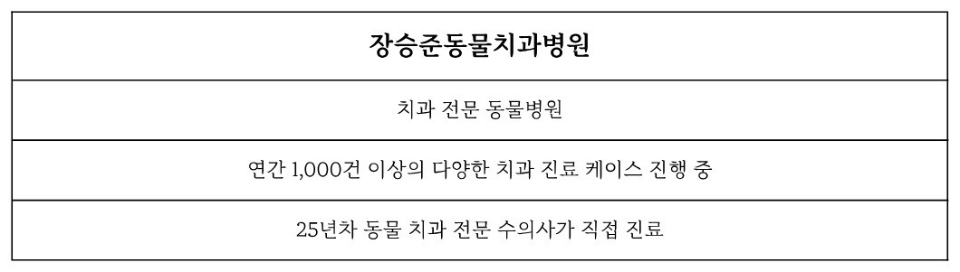 장승준동물치과병원 소개 — 치과 전문 동물병원, 연간 1,000건 이상 치과 진료